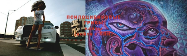 спиды Аркадак