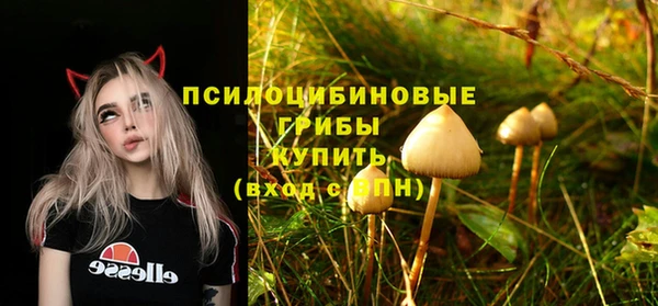 mix Арсеньев