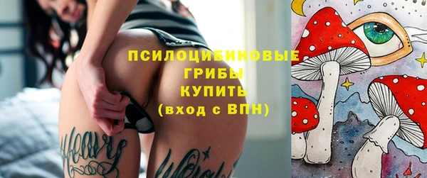 спиды Аркадак