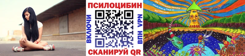 Псилоцибиновые грибы Magic Shrooms  Рассказово 